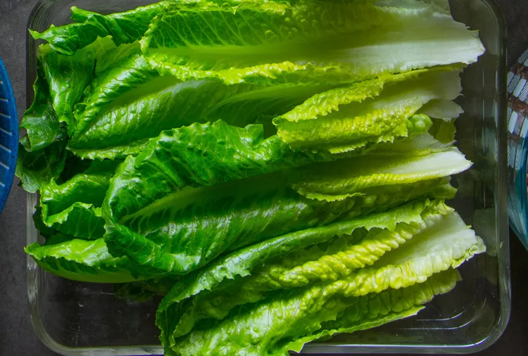 How to Store Lettuce to Help it Stay Crisp and Fresh For Up to 10 Days