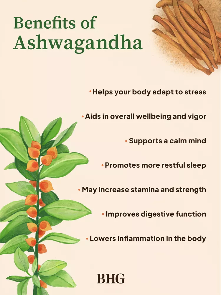 What to Know About Ashwagandha and Its Potentially Stress-Reducing Benefits