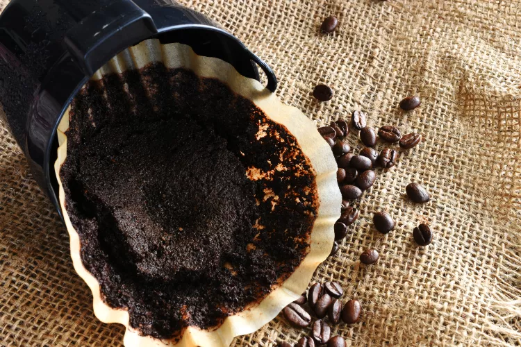 Can You Reuse Coffee Grounds?