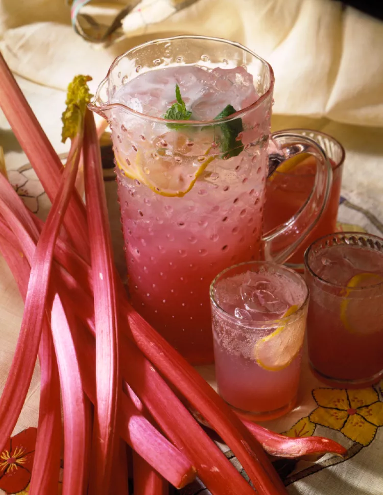 Pink Rhubarb Punch