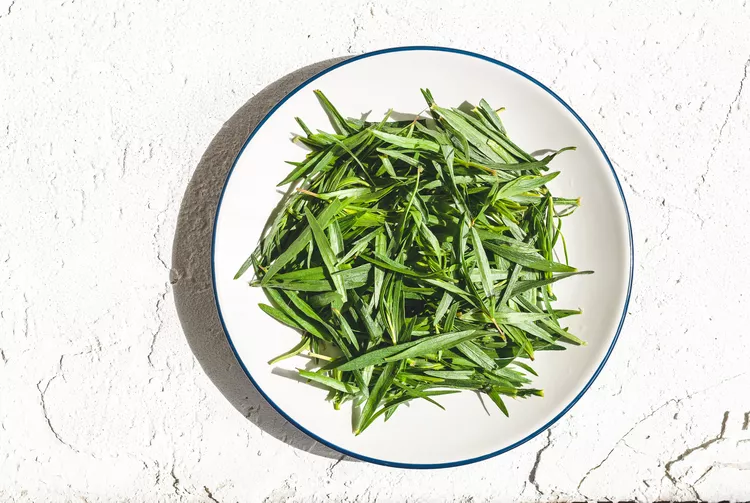 What Is Tarragon? Discover How to Use This Versatile Herb 