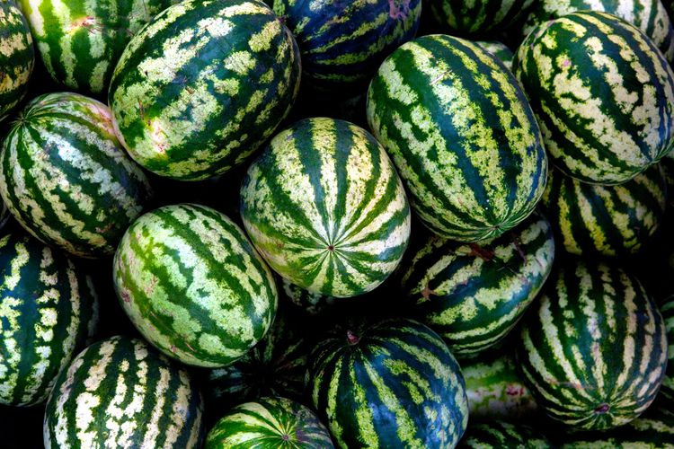 Why You Should Always Check Your Watermelon for Cracks in the Rind