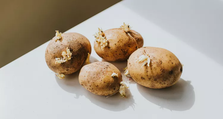 Can You Eat Potatoes with Sprouts? Experts Share if It's Safe
