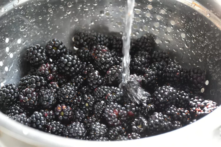 How to Wash Blackberries the Right Way, According to Our Test Kitchen