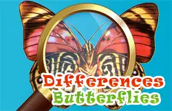 Differences Butterflies