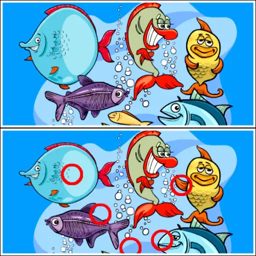 Fish Differences