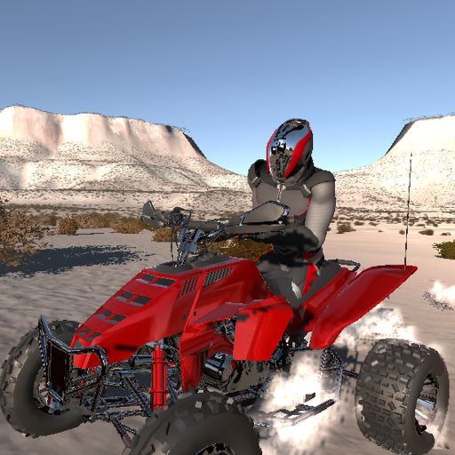 Desert Racing