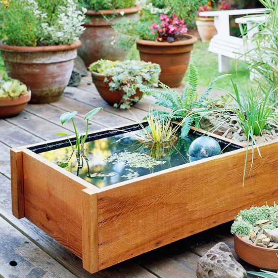 DIY Pond Box: How to Create a Mini Water Garden