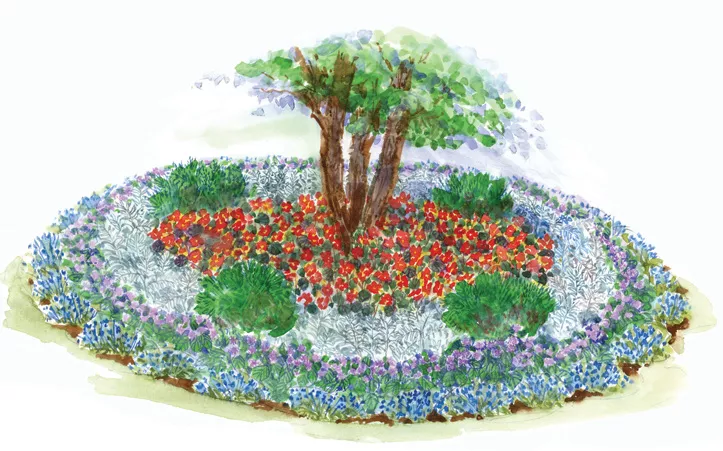 This Bold Shade Garden Plan Brims with Color and Texture