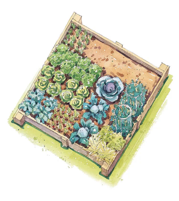 This Spring-Harvest Vegetable Garden Plan Is Perfect for a Small Raised Bed