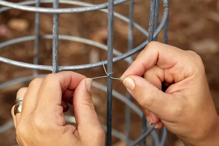 How to Build a DIY Gabion Plant Stand