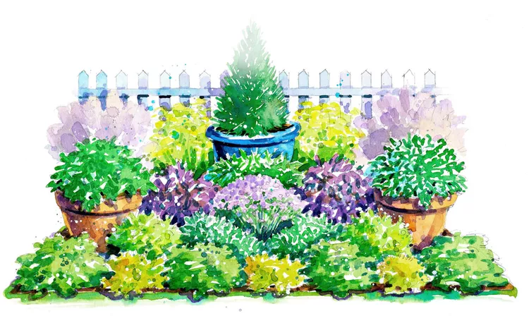 This Colorful Herb Garden Plan Enhances Your Yard and Dinner Plate