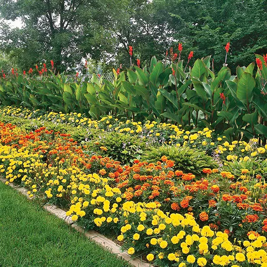 How to Design a Garden by Plant Height