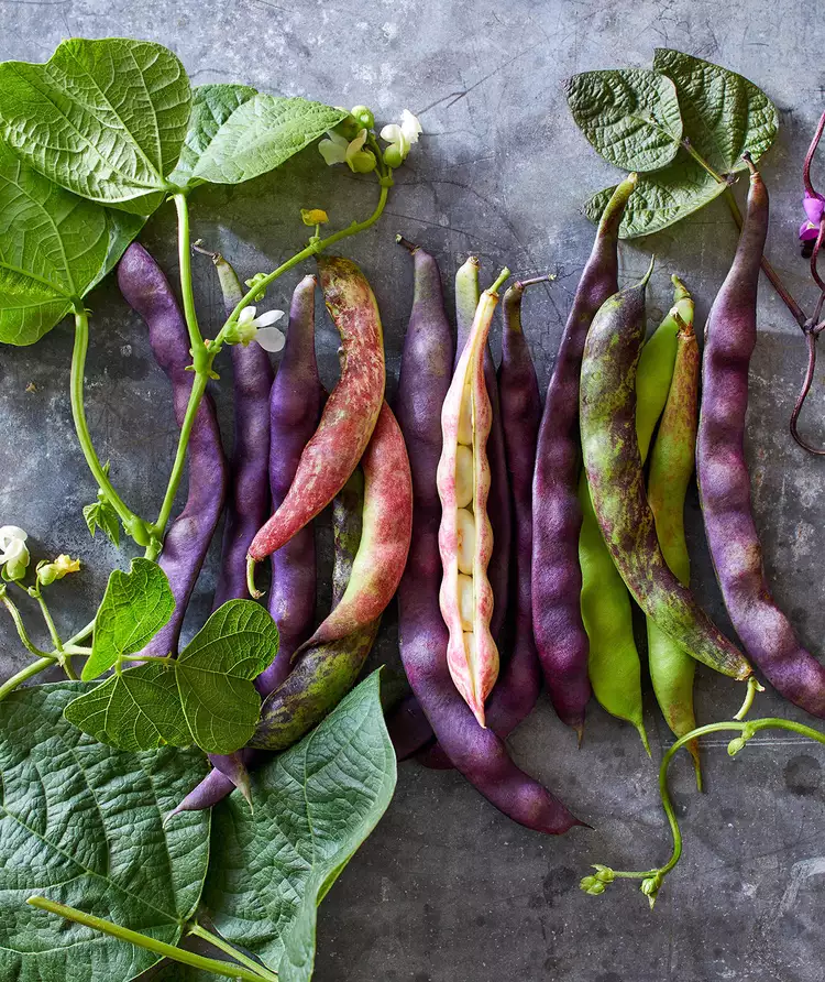 5 Reasons You Should Grow Heirloom Seeds