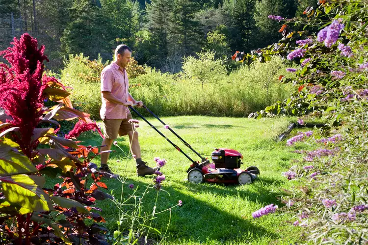 When Is the Best Time to Mow Your Lawn? 