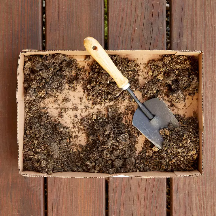 How to Test Your Garden Soil’s pH Level in 4 Simple Steps