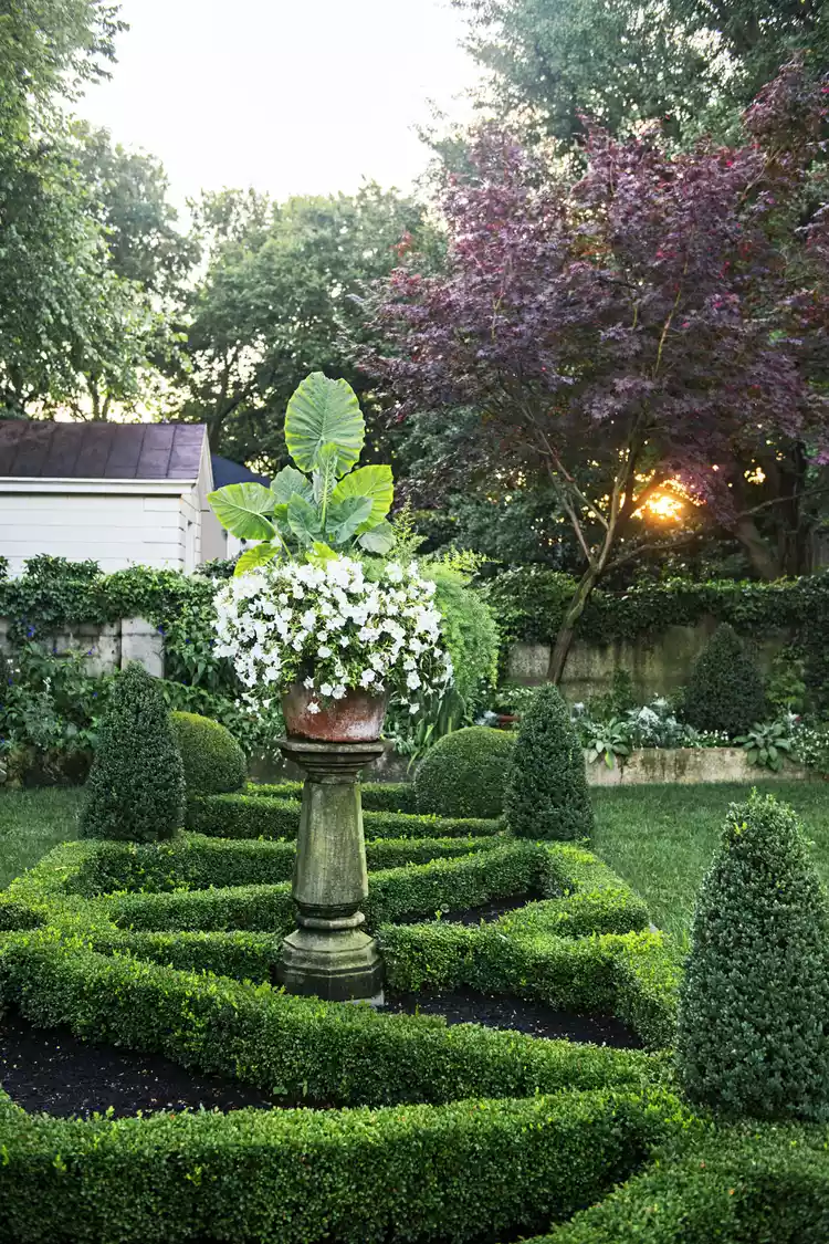 Expert Tips for Growing and Designing With Beautiful Boxwood