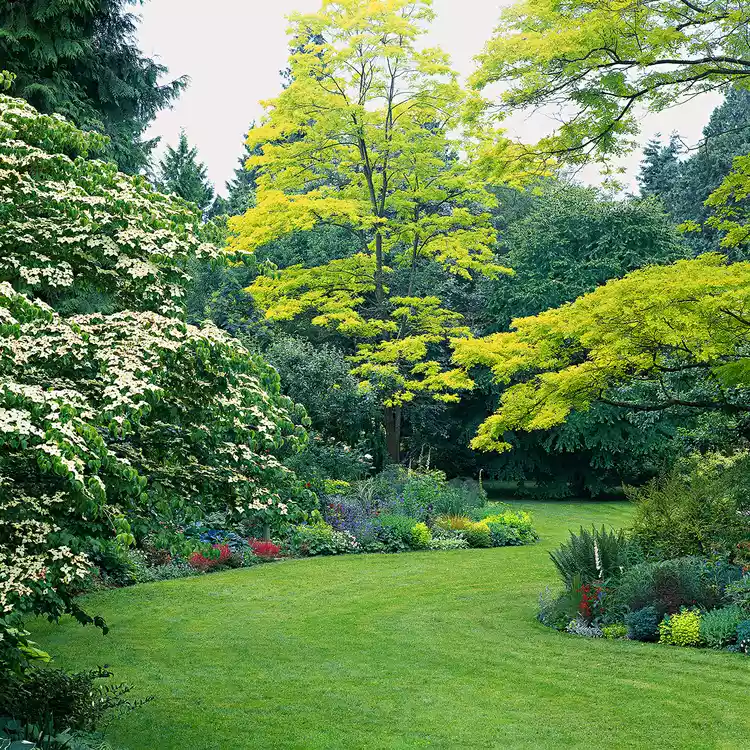 Your Seasonal Lawn-Care Schedule for the Pacific Northwest