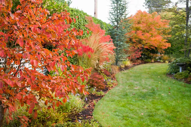 12 Fall Lawn Care Tips for Lush Grass in the Spring