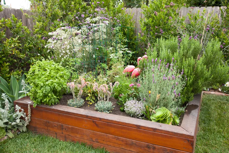 11 Edible Landscaping Ideas to Grow Food Beautifully
