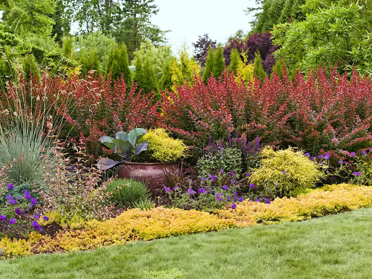 14 Easy Landscaping Ideas to Create Lots of Visual Variety 