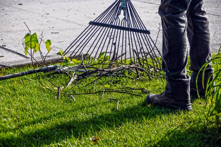 18 Clever Ways to Use Fallen Twigs and Sticks in Your Garden