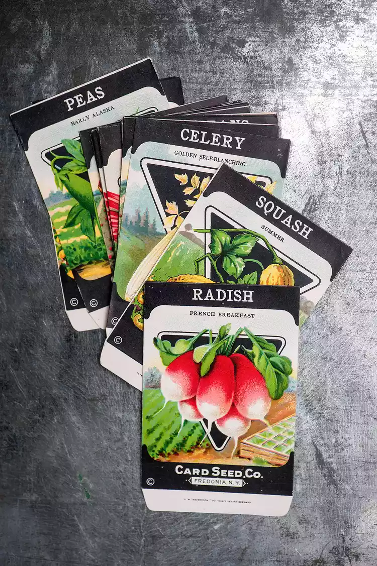 6 Must-Know Tips for Buying Garden Seeds to Grow Veggies and Flowers