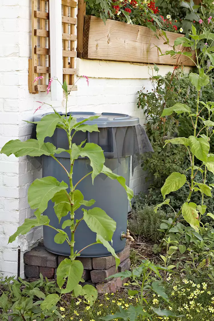 How to Make a DIY Rain Barrel from a Garbage Can in 5 Easy Steps