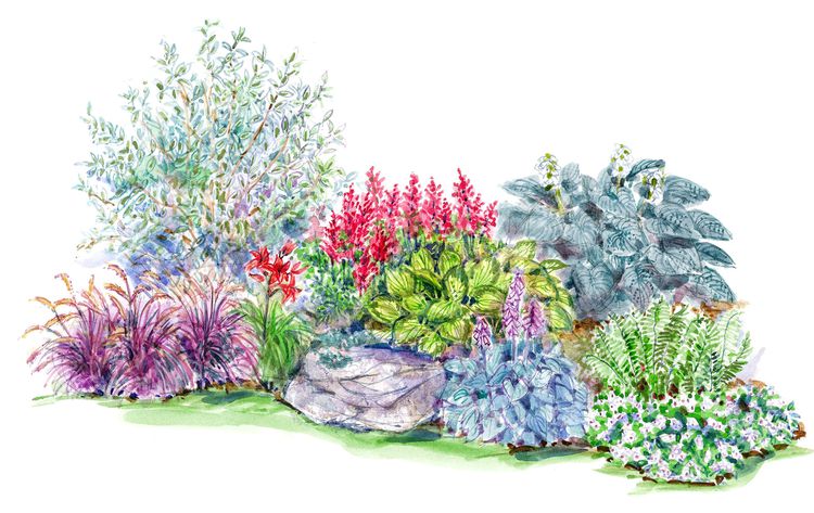 This Bold Woodland Garden Plan Brims with Color and Texture