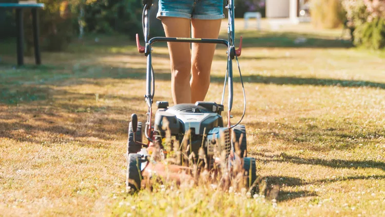 Should You Mow Your Lawn If It Turns Dry and Crispy in Summer?