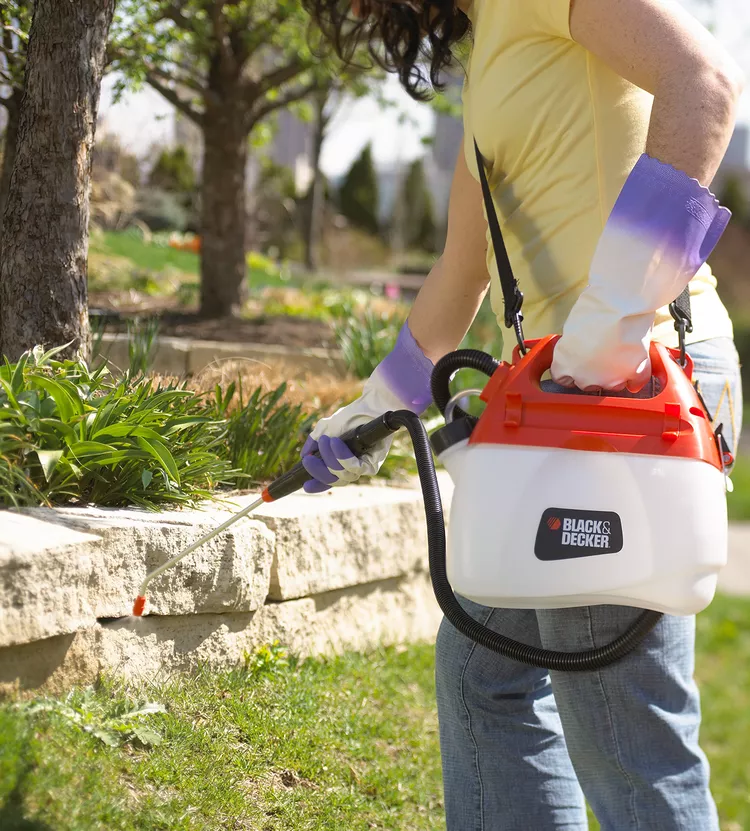 Weed Killers: 5 Things to Know Before You Spray