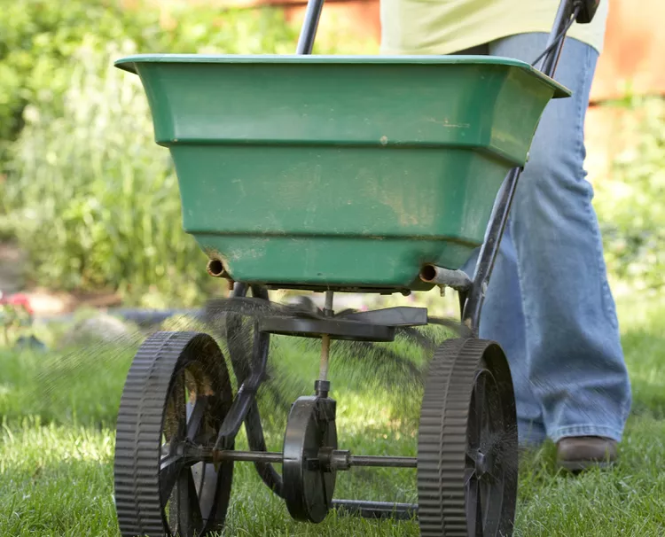 When to Fertilize Your Lawn Through the Seasons for the Healthiest Grass