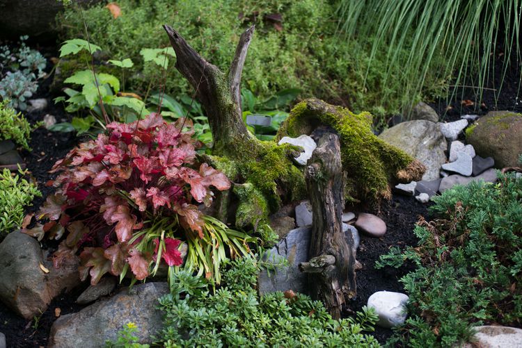 9 Creative Tree Stump Ideas for Adding a Natural Touch to Your Garden