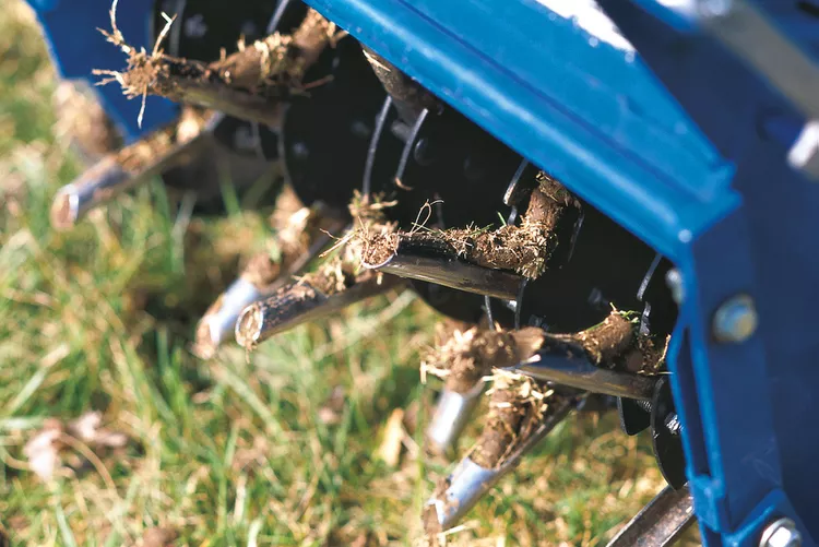 When Should You Aerate Your Lawn to Grow Healthier Grass?