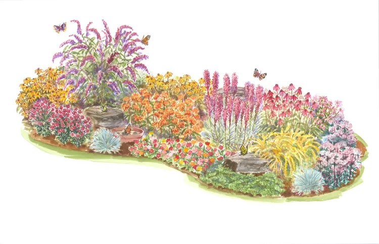 This Easy-Care Butterfly Garden Plan Will Attract Tons of Pollinators