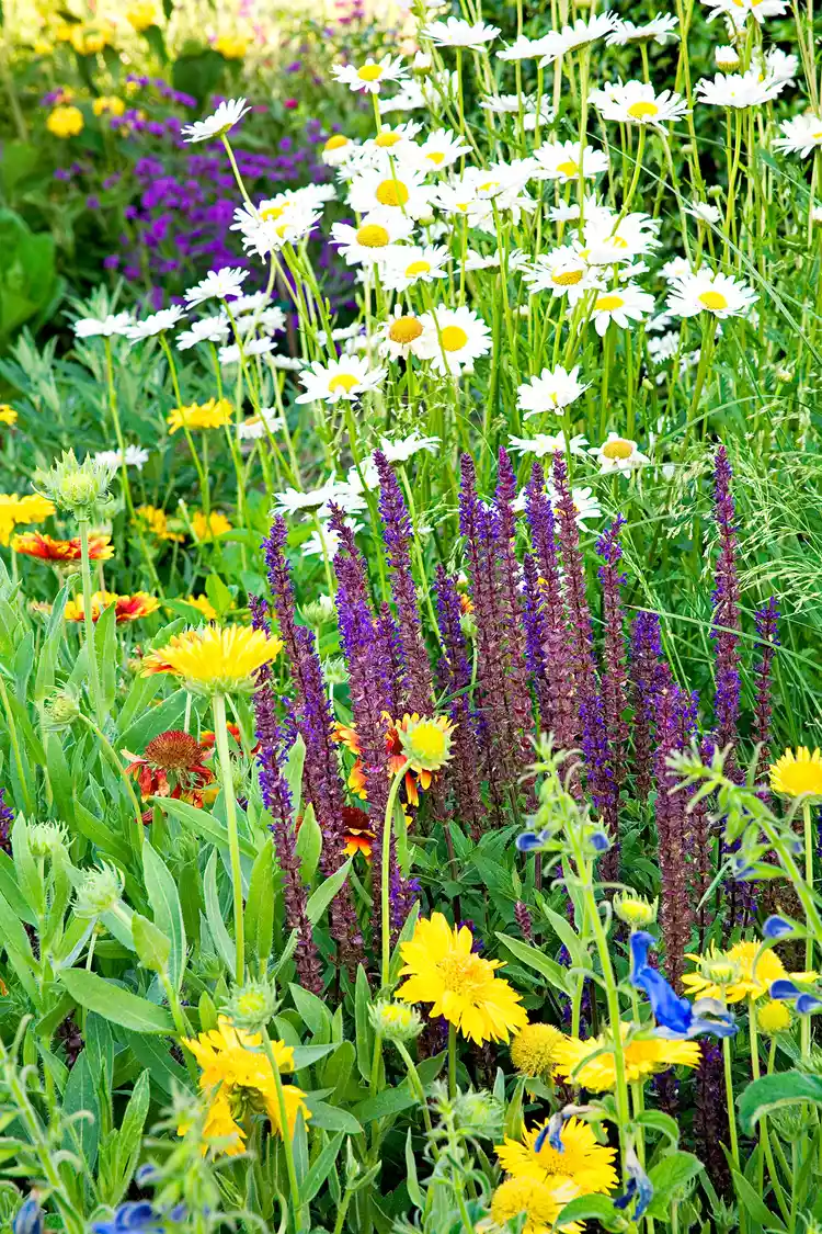 24 Perennial Planting Combinations That Look Stunning Together