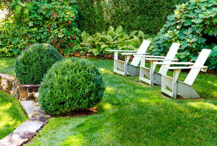 How and When to Apply Sulfur to Your Lawn 