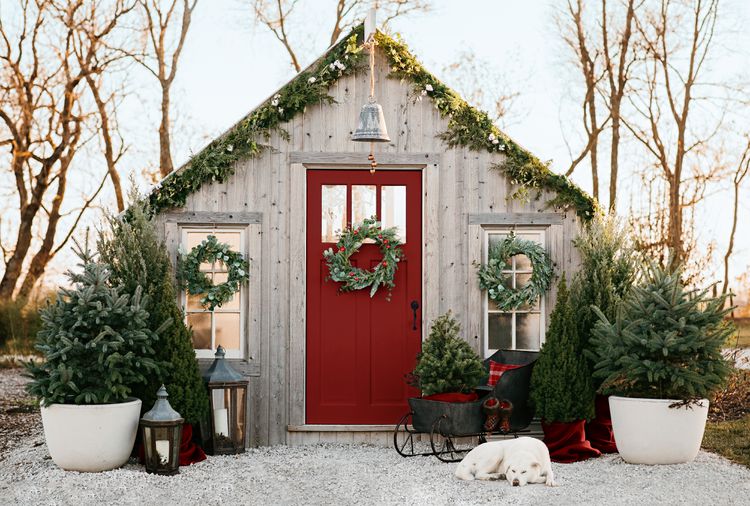 10 Best Types of Fresh Greenery for Holiday Decorating