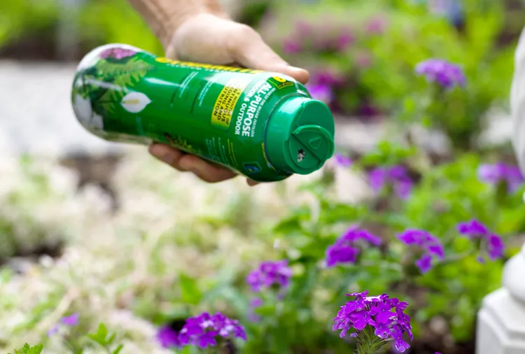 Does Fertilizer Go Bad? 10 Tips to Boost Its Shelf Life