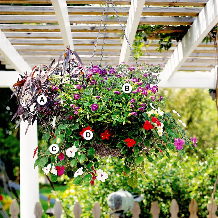 25 Gorgeous Hanging Basket Ideas to Dress Up Your Yard