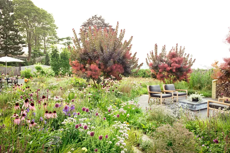 9 Naturalistic Garden Design Ideas to Turn Your Backyard into a Dreamscape