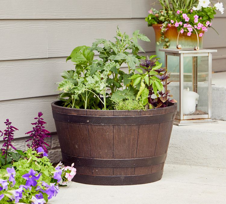 How to Grow Vegetables in Containers for a Plentiful Garden