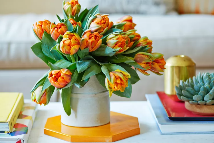 4 Expert Tips for When and How to Cut Tulips in Your Garden