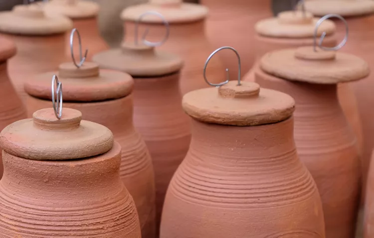 What Is an Olla Pot? Plus 10 Tips for Efficiently Watering Plants with It