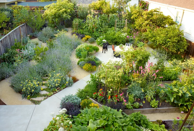 What is a Sensory Garden? Plus 3 Expert Tips on How to Create One