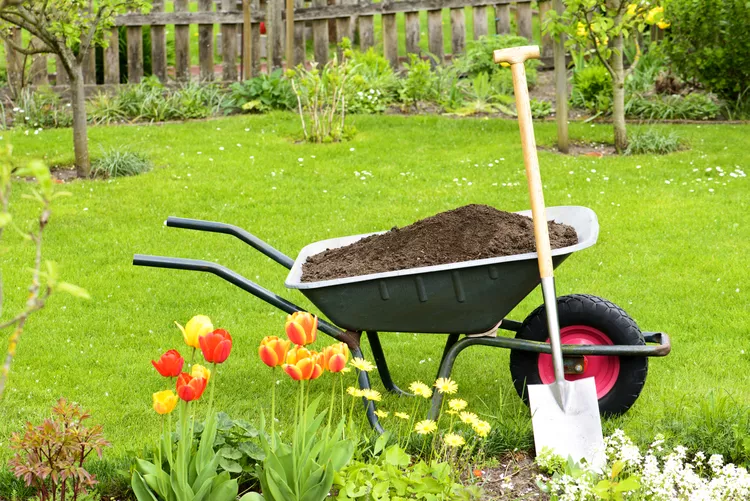 How to Use Compost: 9 Ways to Give Your Plants a Boost