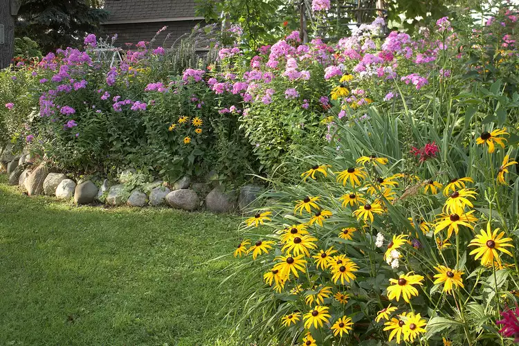 How to Get Rid of Weeds in Flower Beds—and Stave Off New Ones