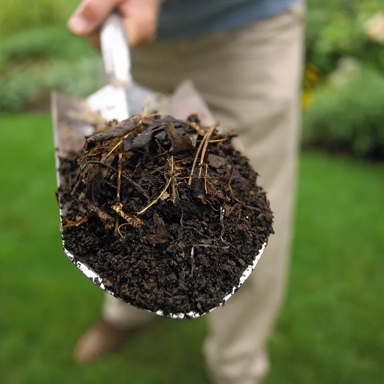 How to Improve and Amend Clay Soil