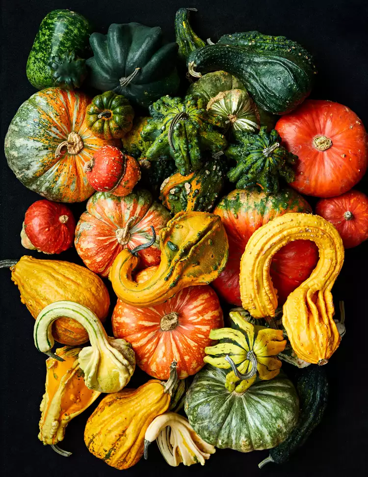 The 10 Best Types of Gourds to Grow for Decor, Crafts, and More