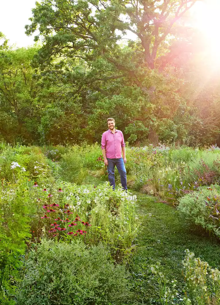 This Front Yard Prairie Garden Requires Almost No Maintenance 